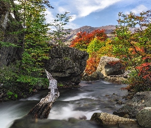 Patagonia, Chile, Drzewa, Rzeka, Góry, Skały, Cascada del Rio Paine