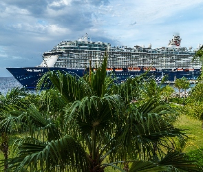 Palmy, Statek wycieczkowy Mein Schiff 5