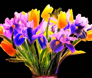 Bukiet kwiatów, Czarne tło, Tulipany, Irysy, Fractalius