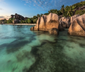 Wyspa La Digue, Palmy, Skały, Ocean, Seszele