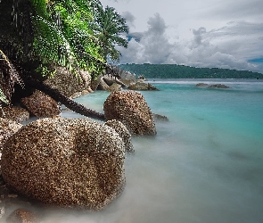 Tropiki, Palmy, Ocean, Skały