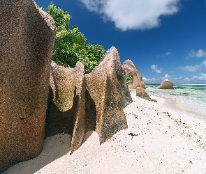 Tropiki, Palmy, Wyspa La Digue, Seszele, Plaża, Skały