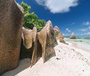 Seszele, Wyspa La Digue, Tropiki, Skały, Palmy, Plaża