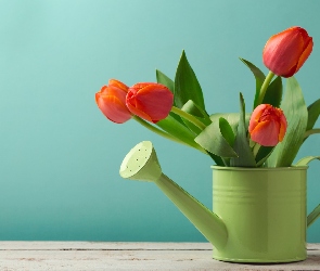 Konewka, Bukiet, Tulipany, Czerwone