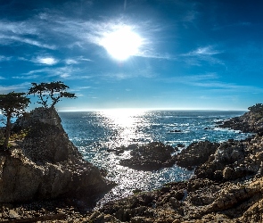 Wybrzeże, Morze, Stan Kalifornia, Stany Zjednoczone, Promienie słońca, Lone Cypress, Skały, Drzewa, Pebble Beach