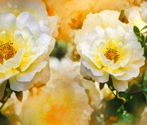 Kwiaty, Reprodukcja obrazu, Róże