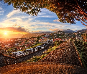 Portugalia, Drzewo, Wybrzeże, Wschód słońca, Wyspa Madera