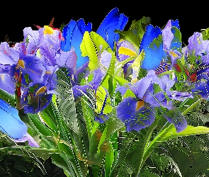 Niebieskie, Fractalius, Kwiaty, Fioletowe