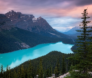 Kanada, Park Narodowy Banff, Chmury, Jezioro Peyto Lake, Las, Góry Canadian Rockies