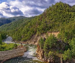 Stany Zjednoczone, Stan Idaho, Skały, Rzeka Salmon, Lasy, Góry