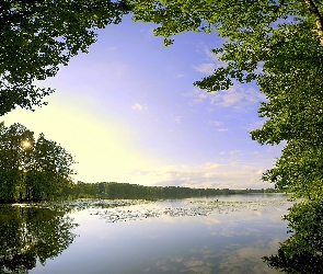 Drzew, Korony, Leśne, Jezioro