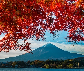 Japonia, Jesień, Drzewo, Gałęzie, Góra Fudżi