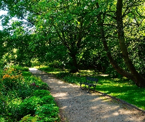 Polska, Gdańsk, Roślinność, Alejka, Ławka, Park Oliwski im. Adama Mickiewicza