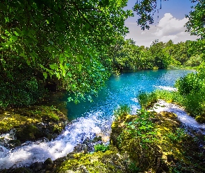 Rzeka Krka, Park Narodowy Krka, Chorwacja, Dalmacja