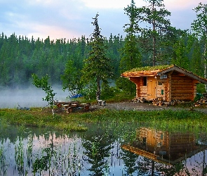 Las, Odbicie, Mgła, Jezioro, Domek