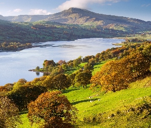 Szczyt Aran Benllyn, Góry, Walia, Drzewa, Jezioro Bala Lake, Wielka Brytania, Park Narodowy Snowdonia