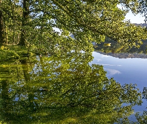 Jezioro, Łódki, Odbicie, Drzewa