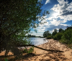 Niemcy, Szlezwik-Holsztyn, Drzewa, Brzeg, Piasek, Rzeka Łaba