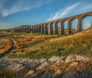 Yorkshire, Anglia, Trawa, Most, Kamienie, Dróżka, Wiadukt kolejowy Ribblehead