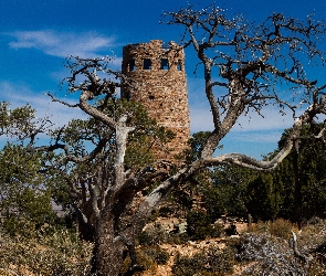 Stan Arizona, Stany Zjednoczone, Zarośla, Wieża Desert View Watchtower, Niebo, Drzewa, Park Narodowy Wielkiego Kanionu