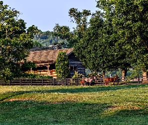 Stany Zjednoczone, Drzewa, Poranek, Konie, Trawnik, Zagroda, Stan Tennessee, Hrabstwo Williamson, Dom