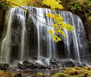 Wyspa Honsiu, Drzewa, Skały, Wodospad Tatsuzawa Fudo no Taki, Japonia