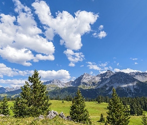 Szwajcaria, Davos, Chmury, Drzewa, Łąki, Góry Albula-Alpen