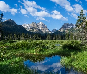 Stan Idaho, Stany Zjednoczone, Trawa, Szczyt Horstmann Peak, Drzewa, Rozlewiska, Góry Sawtooth Range