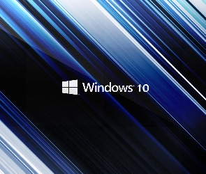 Windows 10, Pasy