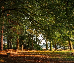 Irlandia, Hrabstwo Monaghan, Rzeka, Park, Ławeczki, Castleblayney