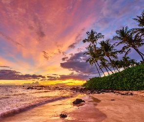 Zachód słońca, Palmy, Wyspa Maui, Chmury, Morze, Hawaje, Wybrzeże