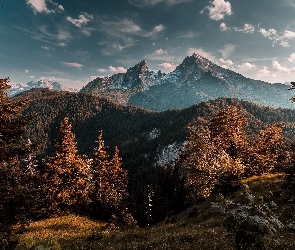 Góry, Bawaria, Niemcy, Lasy, Góra Watzmann, Alpy Berchtesgadeńskie, Drzewa, Park Narodowy Berchtesgaden