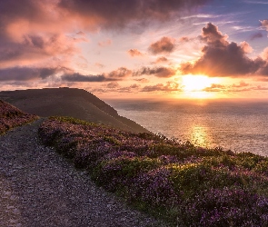 Morze, Anglia, Zachód słońca, Hrabstwo Devon, Wielka Brytania, Wzgórze Hangman, Droga, Wybrzeże, Wrzos, Park Narodowy Exmoor
