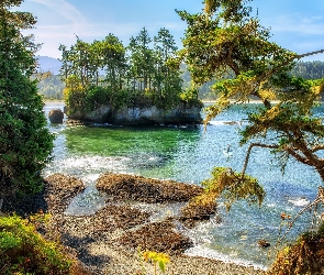 Park Salt Creek Recreation Area, Stan Waszyngton, Stany Zjednoczone, Lasy, Wysepka, Jezioro, Drzewa, Cieśnina Juan de Fuca