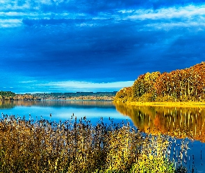 Niebo, Lasy, Jesień, Jezioro