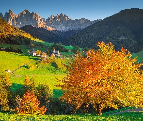 Kościół, Lasy, Masyw Odle, Drzewa, Dolina Val di Funes, Dolomity, Wieś Santa Maddalena, Jesień, Włochy, Góry