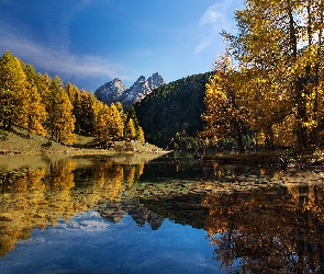 Góry Albula-Alpen, Jezioro Lai da Palpuogna, Kanton Gryzonia, Drzewa, Jesień, Szwajcaria, Przełęcz Albulapass
