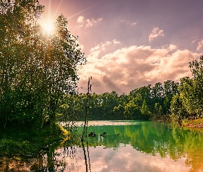 Rzeka, Chmury, Promienie słońca, Drzewa