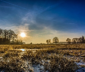 Łąka, Promienie słońca, Rozlewisko, Drzewa