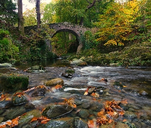 Las, Kamienie, Tollymore Forest Park, Jesień, Rzeka Shimna, Irlandia Północna, Most Foleys Bridge