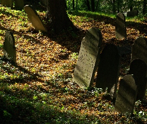Żydowski, Cmentarz