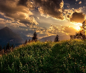 Austria, Drzewa, Słońce, Ławka, Łąka, Góry Alpy, Lienz, Niebo, Chmury