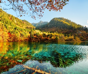 Park Narodowy Jiuzhaigou, Chiny, Drzewa, Las, Góry, Jezioro Wu Hua Hai - Pięciu Kwiatów, Jesień