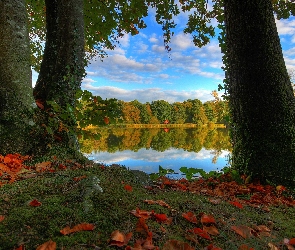 Liście, Altanka, Jezioro, Jesień, Drzewa