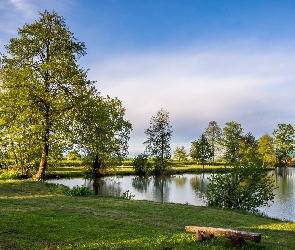 Chorwacja, Żupania Zagrzebska, Trawa, Drzewa, Zieleń, Jezioro Bobovica