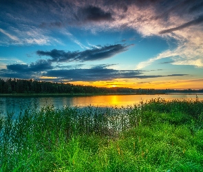 Rzeka, Drzewa, Trawa, Zachód słońca