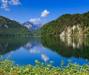 Niemcy, Rośliny Jezioro, Jezioro Alpsee, Góry Alpy Bawarskie, Bawaria