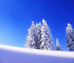 Niebieskie, Śnieg, Zima, Niebo