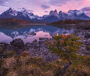Wschód słońca, Patagonia, Masyw Torres del Paine, Park Narodowy Torres del Paine, Chile, Góry Cordillera del Paine, Brzeg, Kamienie, Roślinność, Jezioro Pehoé