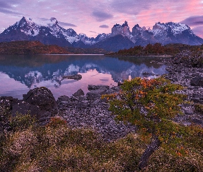 Wschód słońca, Brzeg, Kamienie, Roślinność, Park Narodowy Torres del Paine, Patagonia, Jezioro Pehoé, Góry Cordillera del Paine, Chile, Masyw Torres del Paine